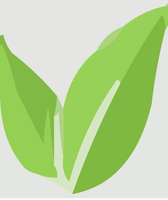 avatar Jardineros Lugoc
